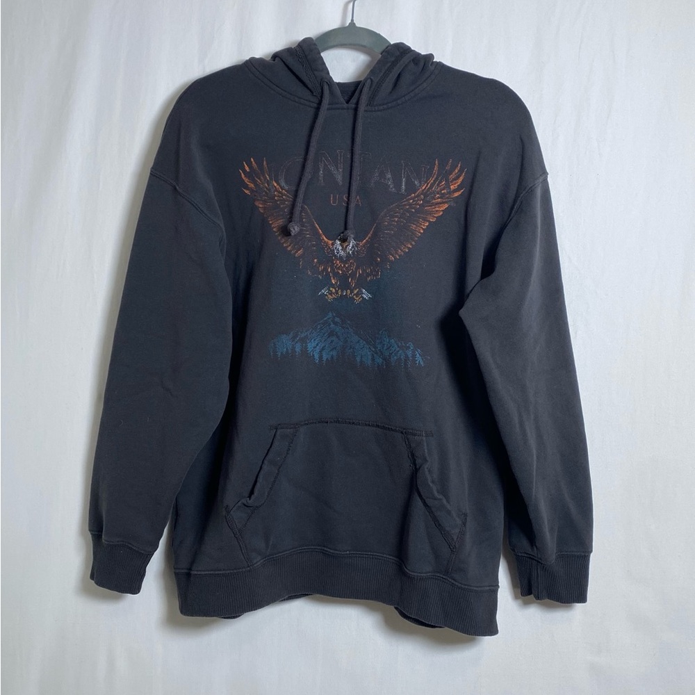 Hollister Charcoal Hoodie with Eagle Graphic